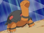 Flannery had Torkoal help everyone out in clearing the field. While everyone was distracted, Team Rocket stole Torkoal, but were defeated and Torkoal came back to Flanney. During the Gym match, Torkoal was the last Pokémon Flannery sent in the battle. Switching offensive and defensive moves, Torkoal managed to defeat Ash's Pikachu and Torkoal before being defeated by Ash's Corphish.