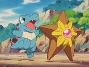 Totodile and Staryu are sent out