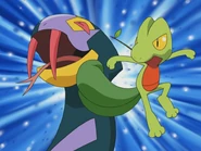 Pound being used by Ash's Treecko.