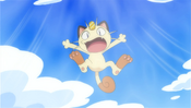 Meowth got gusted away