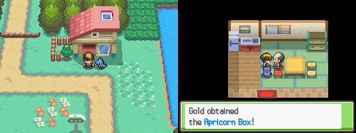 Pokémon SoulSilver/HeartGold Cities Map