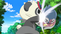 Serena's Pancham - Bulbapedia, the community-driven Pokémon encyclopedia