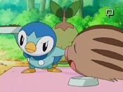 Piplup does not like his food being eaten