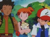 Ash feels they need to return back