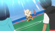 Sunny Day being used by Diana's Arcanine.