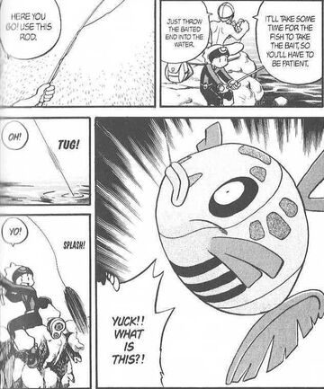 R S026 Not So Fetching Feebas Pokemon Wiki Fandom