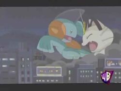Lights Camerupt Action Pokemon Wiki Fandom