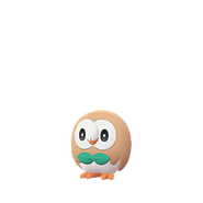 Rowlet in Pokémon GO