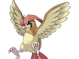 Pidgeotto