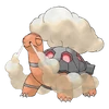 0324Torkoal
