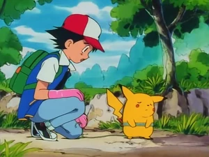 ポケモン アドバンスジェネレーション バウンドポケモンボール