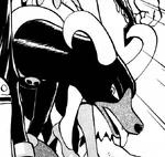 Houndoom was first seen at the Pokéathlon Dome with Karen and the other Elite Four members. It was then used to perform alongside Karen's other Pokémon at the various Pokéathlon courses.