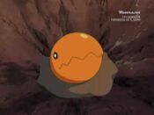 A Trapinch appears