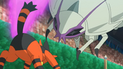 Golisopod takes on Torracat