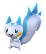 Support Pachirisu