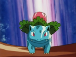 Ivysaur was the final Pokémon that Assunta sent out to battle against Ritchie during her battle with him at the Pokémon Leauge. Ivysaur was able to defeat Sparky to allow Assunta to advance to the next round.