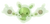 0579Reuniclus Pokémon HOME
