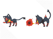 Litten-large