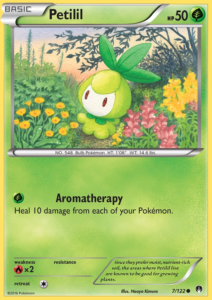 Petilil Breakpoint Pokemon Wiki Fandom