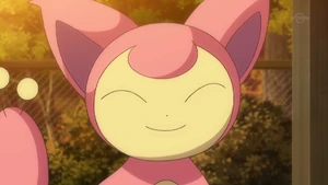 Skitty in the anime.