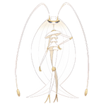 #795: Pheromosa