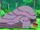 Ash's Muk