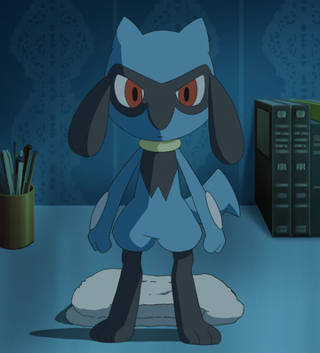 Pokémon Club - Fact : Riolu is Ash's first ever baby Pokemon. Baby Pokemon  were first introduced in Gen 2 back in 1999