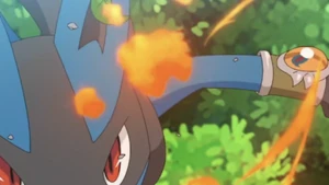 Gurkinn's Lucario Lucarionite.