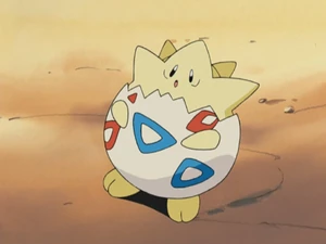 Misty's Togepi.