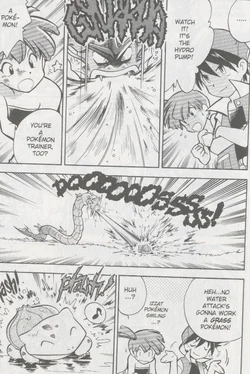 Pokemon Adventures Volume 1 Pokemon Wiki Fandom