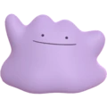 Ditto Pokemon Wiki Fandom
