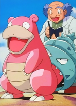 Slowpoke was Westwood's Pokémon he analyzed to complete his study of evolution. Though Westwood attempted to protect it from evolution, Jessie's Shellder bit Slowpoke's tail and evolved. Still, Westwood managed to complete his study.