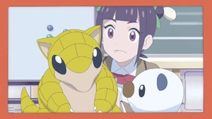 Ann's Sandshrew.