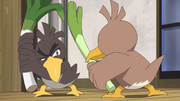 Ash Galarian Farfetch'd and Goh Kantonian Farfetch'd Rivalry