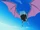 J's henchmen's Golbat