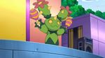 Racca is one of Toby's Maractus, who was used to perform in musicals.