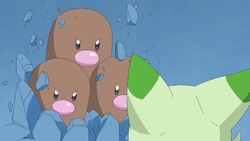 Dig being used by Rika's Dugtrio.