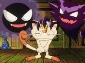 Haunter uses Meowth for communication