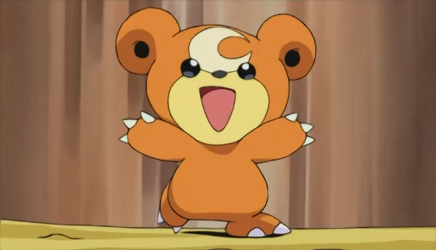 Teddiursa Anime Pokemon Wiki Fandom