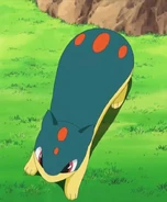 Quilava without flames on its back