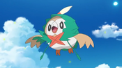 Rowlet wearing his Decidueye Cloak.