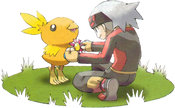 Giving a Ribbon to Torchic