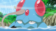 Goh Tentacool