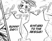 Sunny Day being used by Gold's Sunkern.