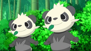Pancham in the anime.