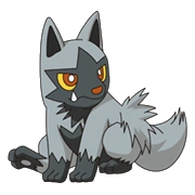 Poochyena 261 AnimeArt1.png (30 KB)