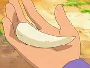 Razor Fang anime.png (504 KB) A Razor Fang in the anime