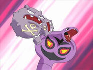 Weezing battling with Arbok