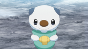 Ash Oshawott