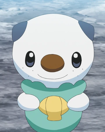 Ash S Oshawott Pokemon Wiki Fandom